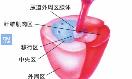 复方仙鹤草胶囊 哪里能买到网复方仙鹤草肠炎胶囊吃多久为宜知识网站,分享复方仙鹤草肠炎胶囊大全